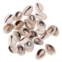 Load image into Gallery viewer, 50pcs 1.6-2cm Small Bulk Cut Beach Sea Natural Shell Conch Beads Cowry Cowrie Tribal Jewelery Craft Accessories holes DIY